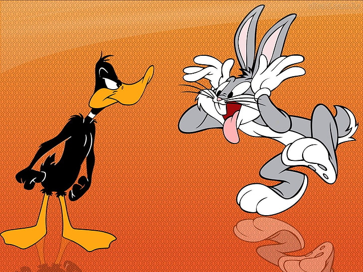 TV Show, Looney Tunes, Daffy, animal, no people, animal themes, HD wallpaper