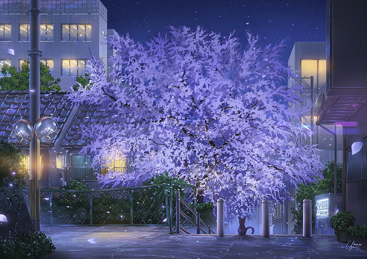 HD wallpaper: anime scenic park, cat, night, stars, buildings, street,  lights | Wallpaper Flare