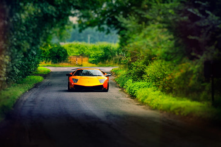 orange Lamborghini Murcielago coupe, car, yellow cars, transportation, HD wallpaper