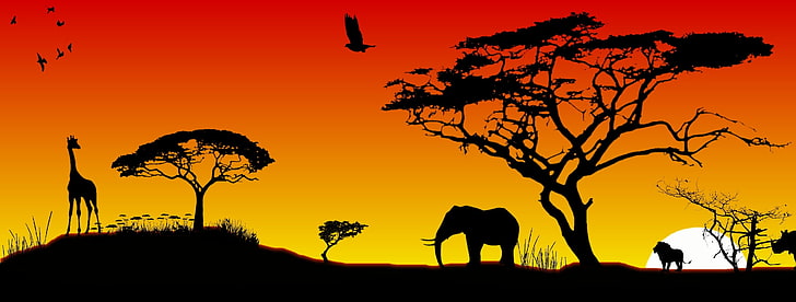 Africa, animals, silhouette, sunset, tree, sky, mammal, nature, HD wallpaper