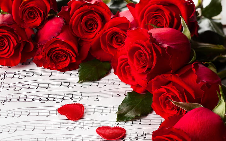 Flowers, red roses, Valentine's Day, music, HD wallpaper