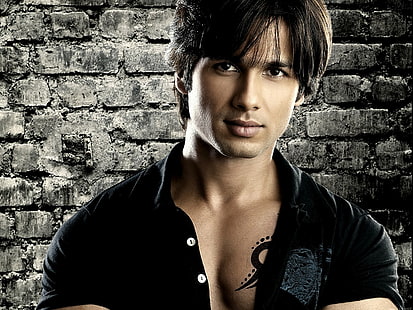 This Video Of Shahid Kapoor Will Entice You To Watch The Movie 