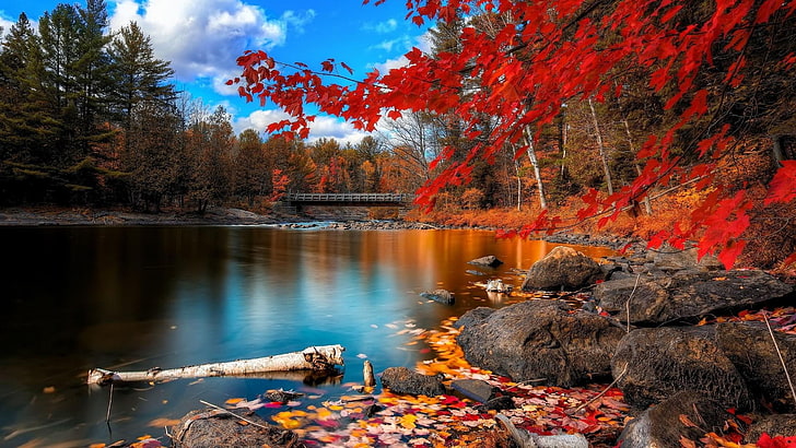 lake, 4k, hd, water, nature, lago, otoño, colorado, HD wallpaper