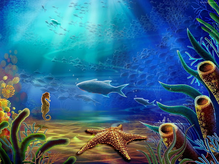 HD wallpaper: fish, water, sea, underwater, animal themes, sea life, group  of animals | Wallpaper Flare