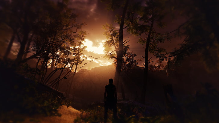 silhouette of person in the woods, Hellblade: Senua's Sacrifice
