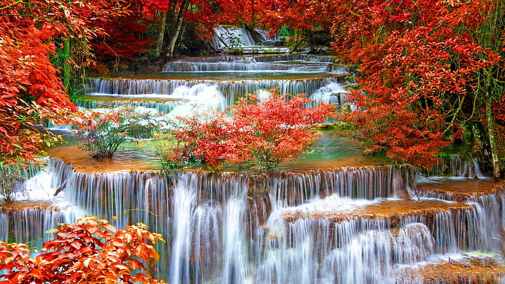 white and red floral window curtain, stream, long exposure, fall, HD wallpaper