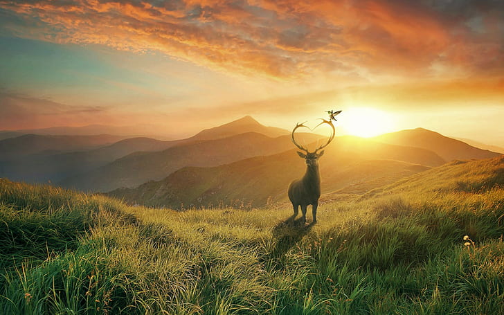 HD wallpaper: sunset, Mountains, deer, 4k, 8k, HD | Wallpaper Flare