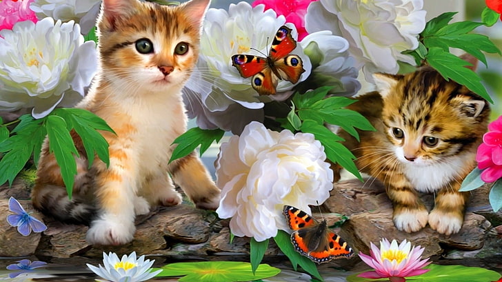 Schmetterling, Blume, Deutschland, Katze, animal, animal themes, HD wallpaper