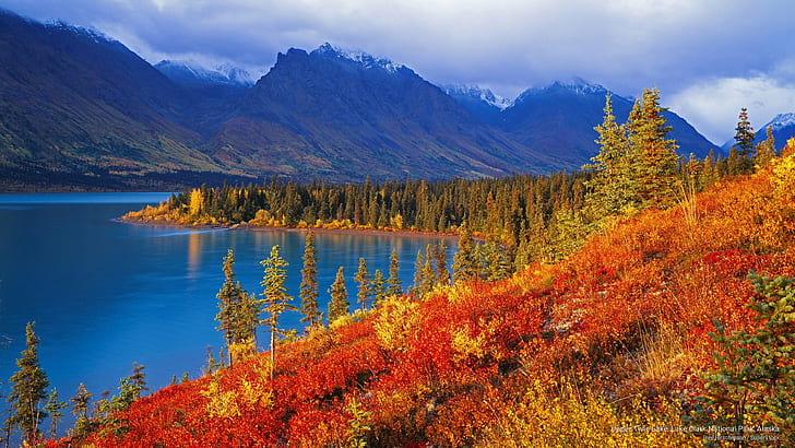 Upper Twin Lake, Lake Clark National Park, Alaska, National Parks, HD wallpaper