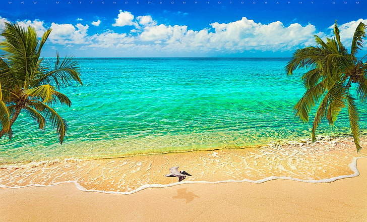 green ocean water under blue sky, nature, landscape, sand, beach, HD wallpaper