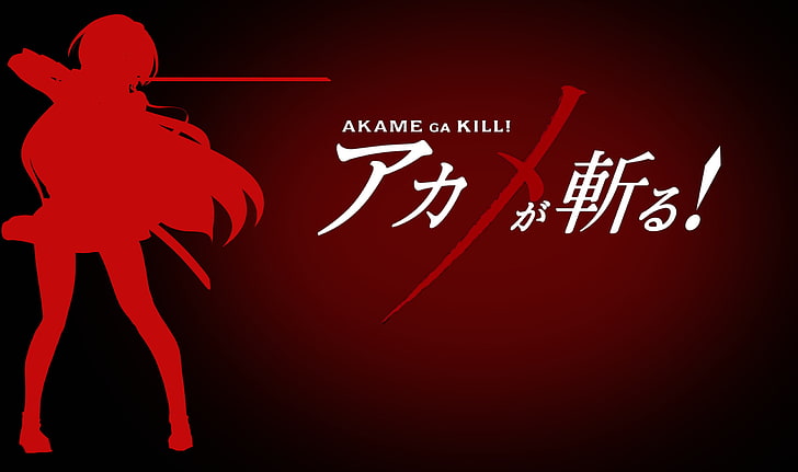 anime, Akame ga Kill!, red, representation, illuminated, human representation, HD wallpaper