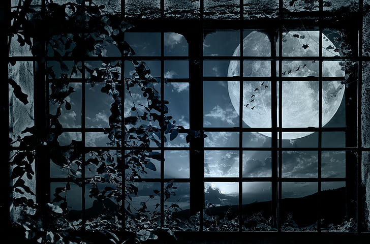 fantasy art, window, Moon, night
