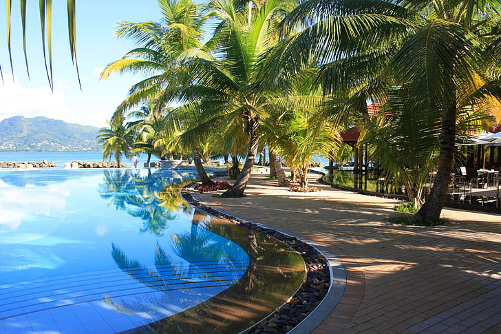 Peaceful Tropical Pool, trees, island, view, beach, swimming, HD wallpaper