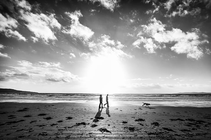 grayscale photo of man and woman near dog walking on seashore, HD wallpaper