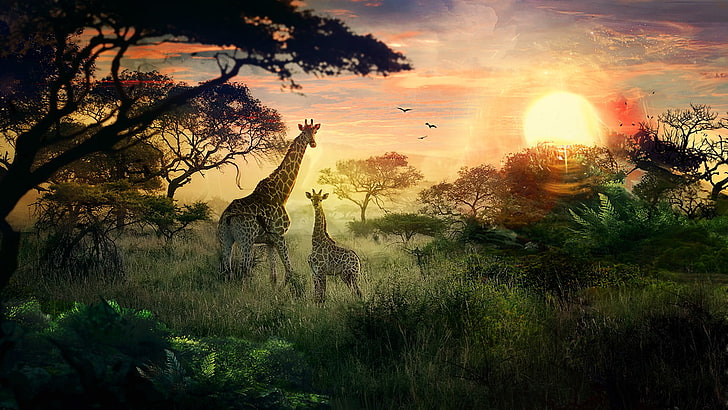two brown giraffes, animals, landscape, Sun, DeviantArt, nature, HD wallpaper