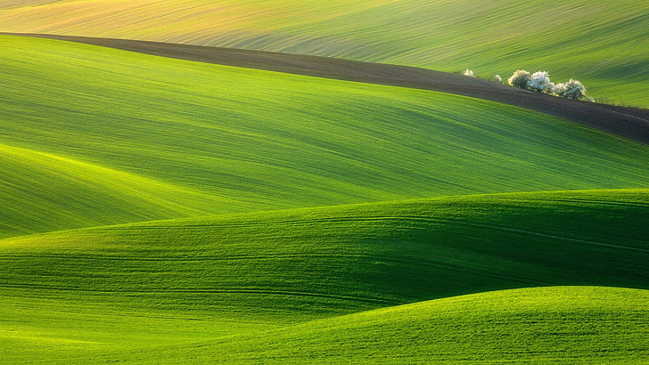 Hình nền HD: Bức ảnh đồng cỏ xanh và rực rỡ của trời mây sẽ khiến bạn có cảm giác như đang đặt chân tới thiên đường trên trái đất. Hãy xem hình ảnh này để tận hưởng sự bình yên và chân thật của thiên nhiên.