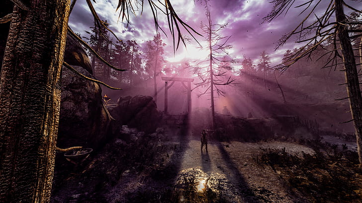 Nvidia Ansel, screen shot, PC gaming, Hellblade: Senua's Sacrifice, HD wallpaper