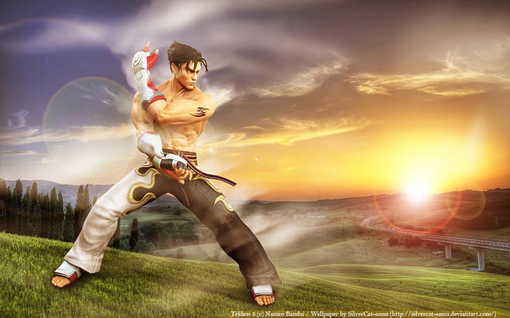 Jin Tekken, Jin Kazama, sky, cloud - sky, sunset, full length, HD wallpaper