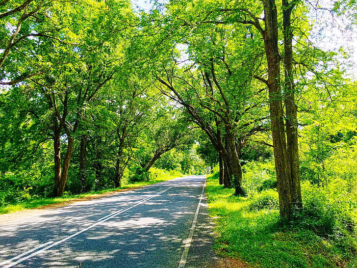 Hd Wallpapers Nature Road