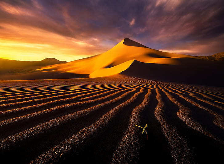 desert, landscape, dune, sky, scenics - nature, cloud - sky, HD wallpaper