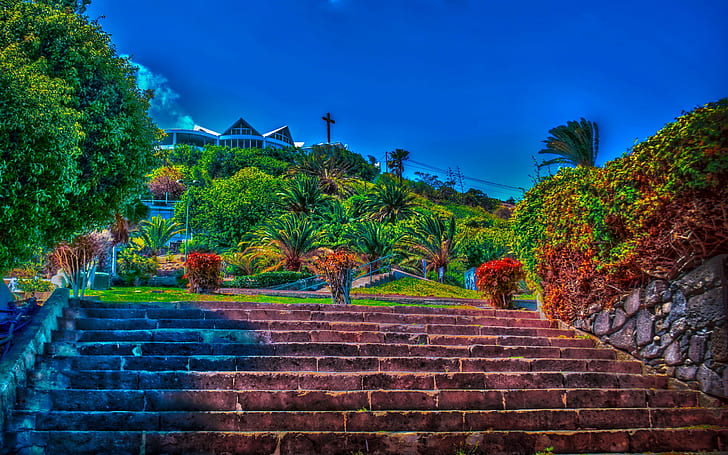 Spain Parks Las Palmas De Gran Canaria Stairs Palma Hdr Nature 409764, HD wallpaper