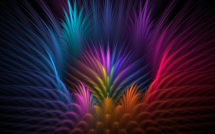 feathers, colorful, abstract