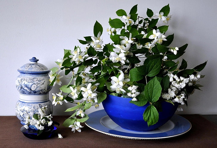 white orange blossom flowers centerpiece, jasmine, spring, bowl