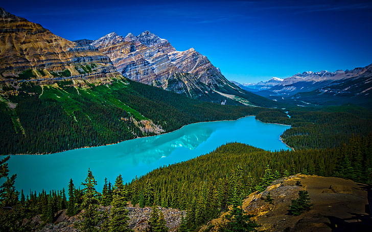 Turquoise Peyto Lake In Banff National Park In Canada At An Altitude Of 1860 M Length 2.8 Km Hd Tv Wallpaper For Desktop Tablet And Mobile Phones 3840×2400, HD wallpaper