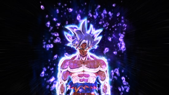 HD wallpaper: Son Goku Ultra Instinct digital wallpaper, Dragon Ball Super  | Wallpaper Flare