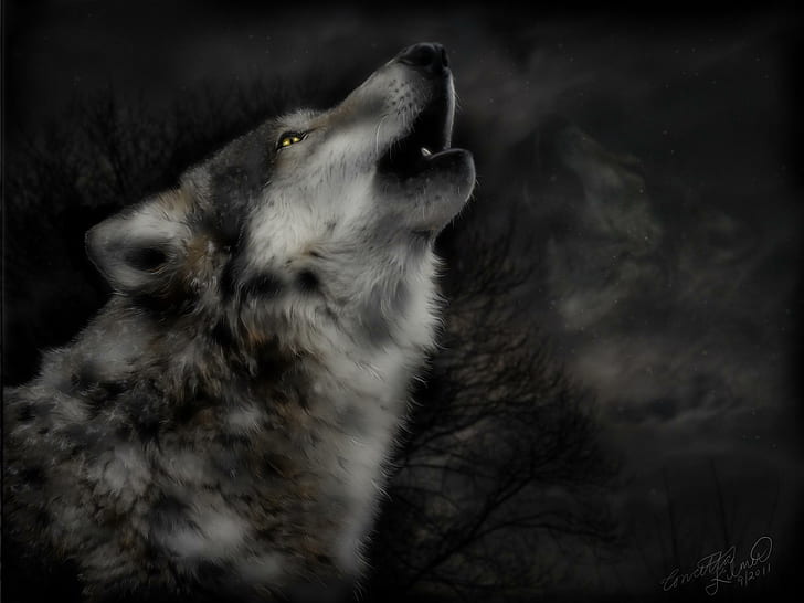 Midnight S Cry, mythical, spirit, black, insnow, pack, the pack, HD wallpaper
