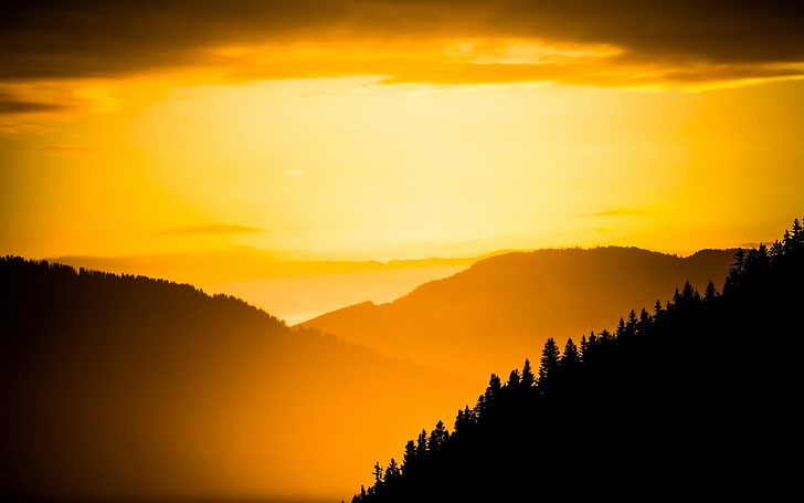 silhouette of trees and mountain during golden hour, landscape, HD wallpaper