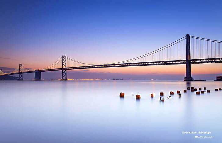 Golden Gate Bridge under blue sky, Dawn, Colors, Bay Bridge, San Francisco  California, HD wallpaper