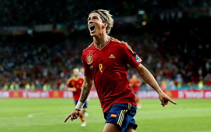 Fernando Torres, soccer, Spain, sports, HD wallpaper