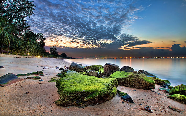 Park Beach East Coast In Singapore Sunrise Ocean Sandy Beach Rocks Green Moss Palm Tree Desktop Hd Wallpaper For Pc Tablet And Mobile 3840×2400, HD wallpaper