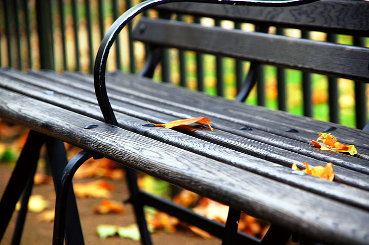black wooden bench, fall, leaves, Central Park, outdoors, wood - Material