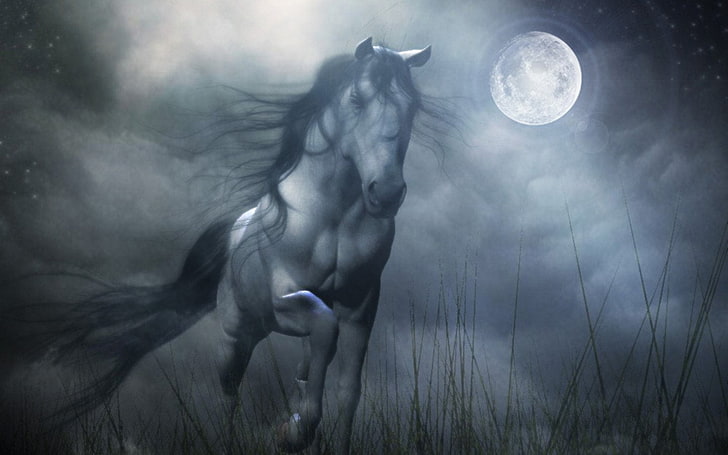 HD wallpaper: grey horse illustration, Fantasy Animals, animal themes,  nature | Wallpaper Flare
