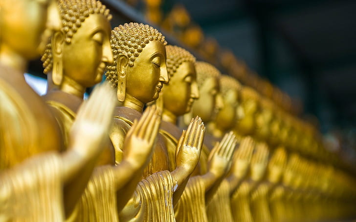 buddha depth of field blurred photography macro gold, selective focus, HD wallpaper