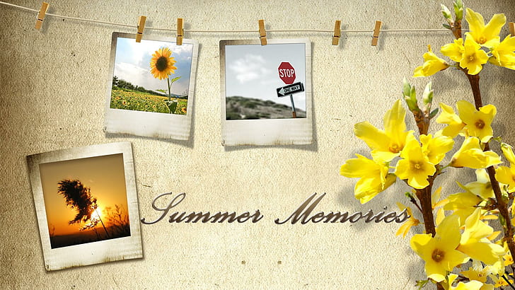 Summer Memories, firefox persona, photos, flowers, sunset, spring, HD wallpaper