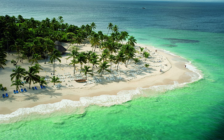 aerial view of coast, landscape, tropical, beach, palm trees