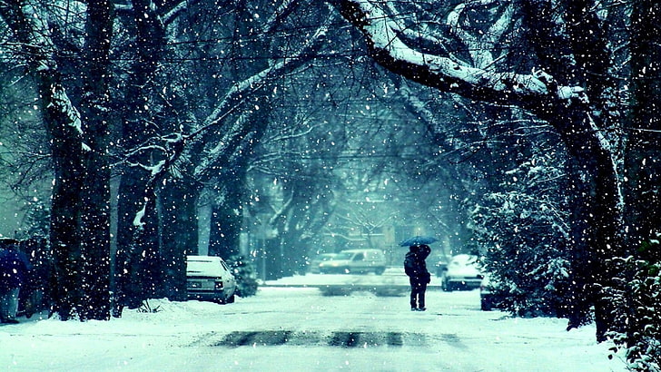 person holding umbrella walking on tree tunnel with snow wallpaper