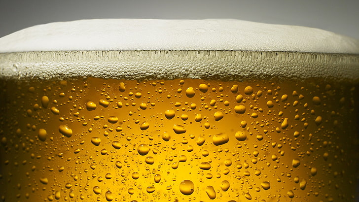 beer, drink, alcohol, refreshment, beer - alcohol, beer glass, HD wallpaper