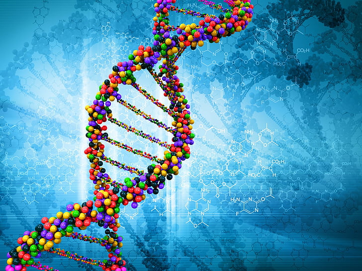 Artistic, DNA Structure, Colorful, Colors, Molecule