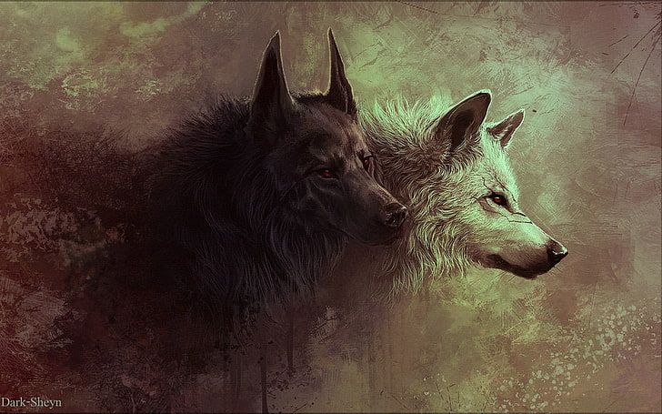 two gray wolves digital wallpaper, two black and white wolves digital wall paper, HD wallpaper