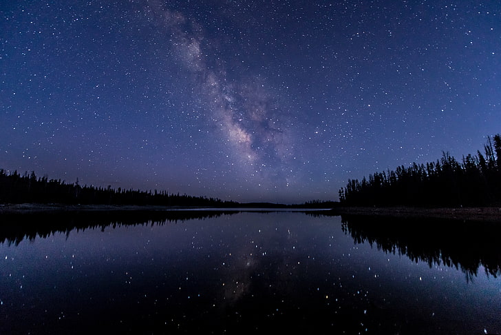 green trees, water, reflection, starry night, stars, forest, lake
