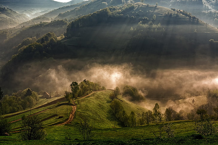 mountains with trees, nature, landscape, sun rays, mist, morning