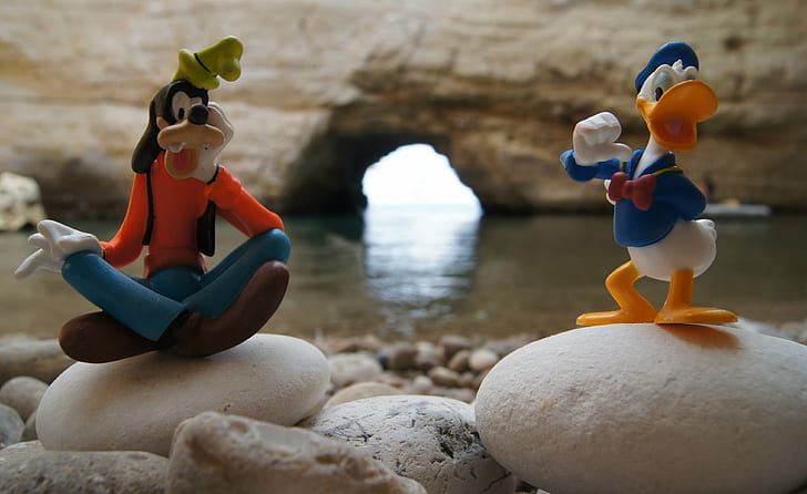 selective focus photography of Donald Duck and Goofy figurines on stone, fiano, grotte, gargano, fiano, grotte, gargano, HD wallpaper