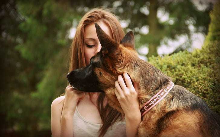 German Shepherd Dog with girl, HD wallpaper