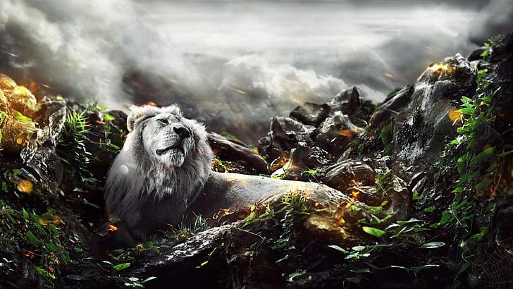 HD wallpaper: jungle, lion, king, creative, animal, animal themes, mountain  | Wallpaper Flare