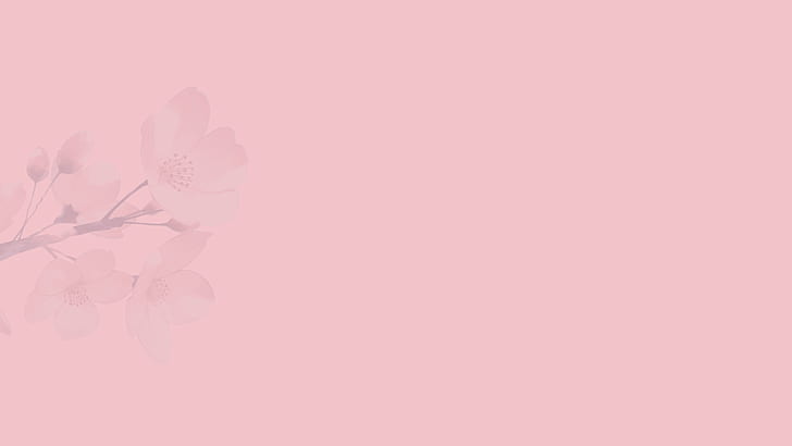 Sakura blossom, minimalism, flowers, simple, pink background