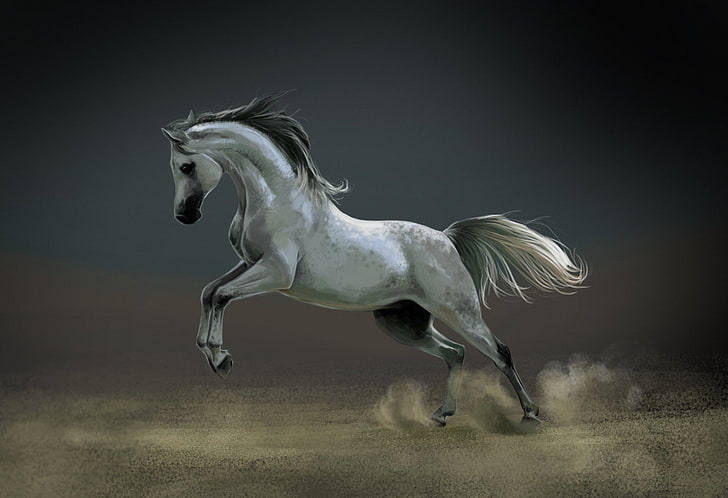 white horse, dust, art, animal, stallion, running, mane, nature